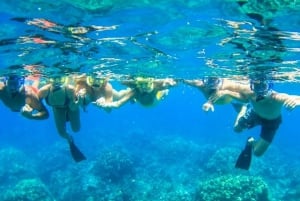 Maui: Kaanapali Beach Snorkel m/ frokost og lunsj