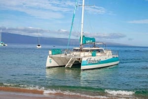 Maui: Ka'anapali Discount Whale Watch - Beach Loading Vessel