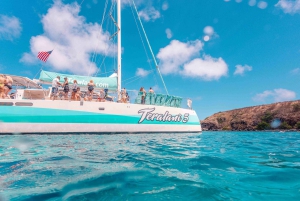 Maui: Ka'anapali Discount Whale Watch - Beach Loading Vessel