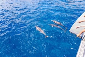 Maui: Kaanapali Dolphin Watching Boat Trip with Lunch