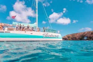 Maui: Kaanapali Dolphin Watching Boat Trip with Lunch