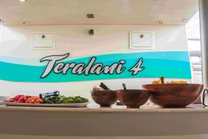 Maui: Kaanapali Dolphin Watching -veneajelu ja lounas