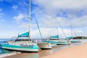 Maui: Kaanapali Whale Watching Boat with Open Bar and Food