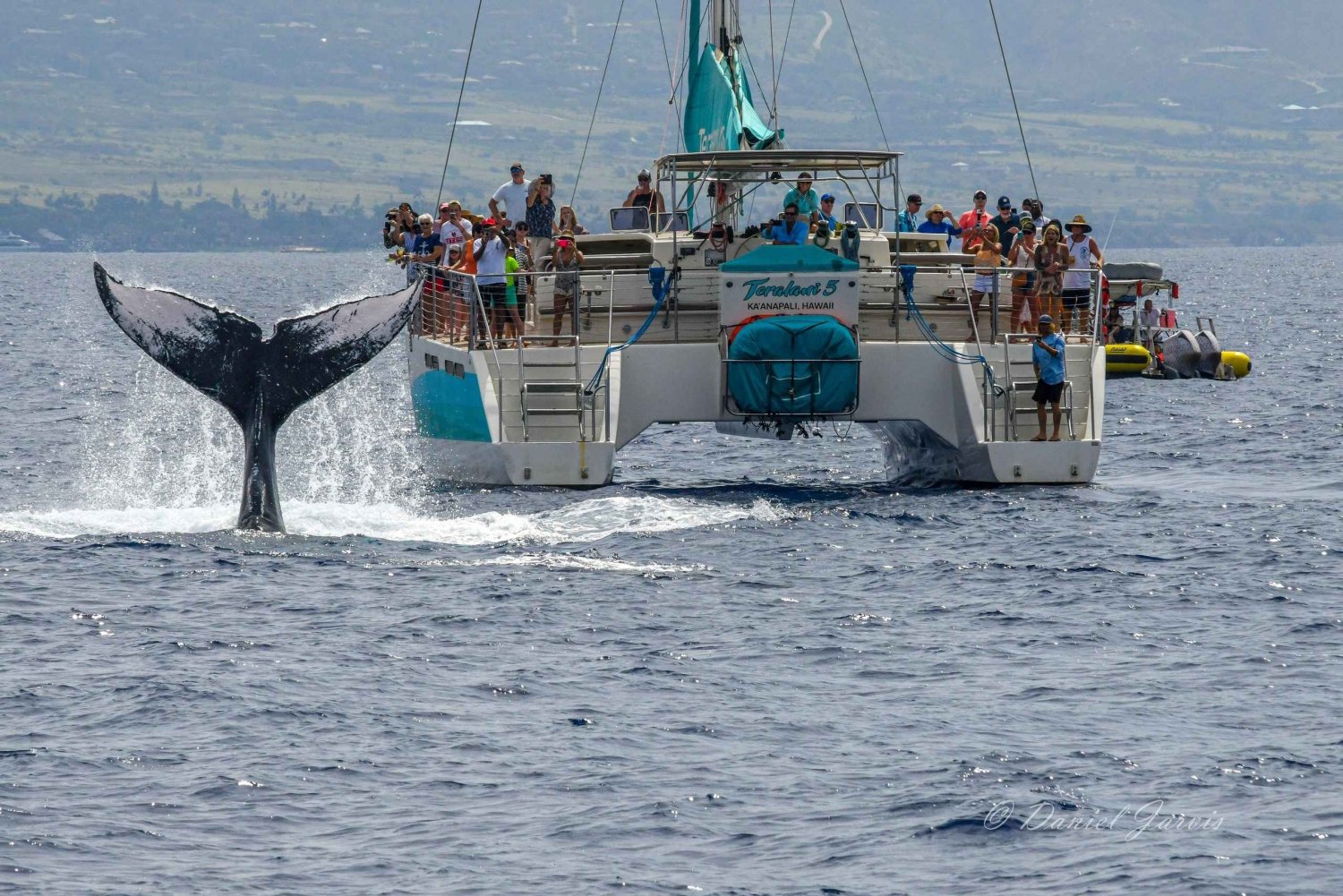 Maui : Croisière d'observation des baleines à Ka'anapali sur un voilier de luxe