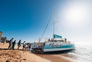 Maui: Ka'anapali Whale Watching Cruise on Luxury Sailboat