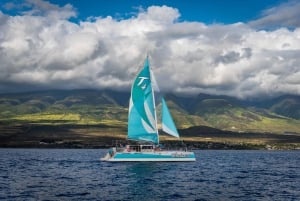 Maui: Barca per l'osservazione delle balene a Kaanapali con open bar e cibo