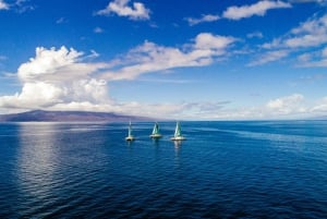 Maui: Ka'anapali-zeil met wilde dolfijnen