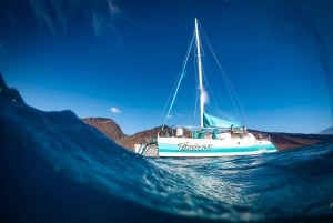 Maui : Croisière sur les dauphins sauvages de Ka'anapali