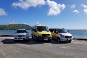 Maui Kahului Airport (OGG): Private Transfer to Maui hotels