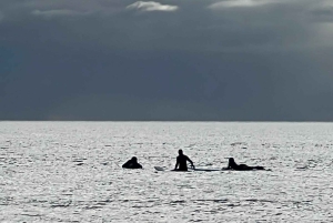 Maui: Lahaina-surfkurs med lokal instruktör
