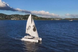 Maui: Luksuriøs katamaran med 5-retters middag og solnedgang