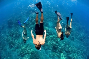 Maui: Luksuskatamaran med snorkling, skildpadder og tacos