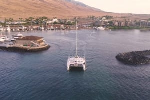 Maui: Luxuriöse Katamaran-Walbeobachtungstour mit Segeln