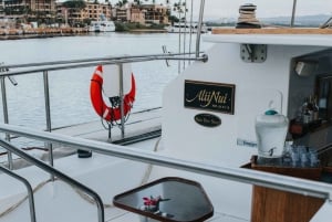 Maui: Luxuriöse Katamaran-Walbeobachtungstour mit Segeln