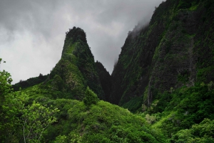 Maui: Luxury Private Full-Day Iao Valley/Upcountry Farm Tour