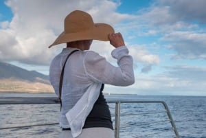 Maui: Ma'alaea Catamaran Sunset Sail med appetitvækkere