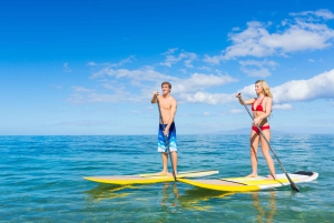 South Maui: Makena Bay Stand-Up Paddle Tour