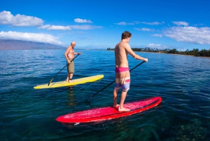 South Maui: Makena Bay Stand-Up Paddle Tour