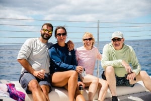 Maui: Midday Sail with the Whales Māʻalaea Harbor