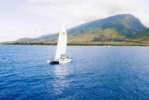 Maui: Midday Sail with the Whales Māʻalaea Harbor