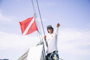 Maui : croisière matinale avec les baleines au port de Lahaina