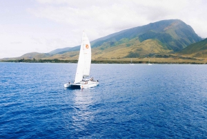 Maui : croisière matinale avec les baleines au port de Lahaina