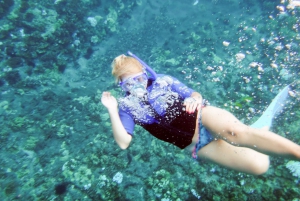 From Ma'alaea: Molokini & Turtle Town Snorkeling Tour