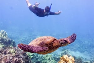 Maui: Molokini and Turtle Town Snorkel with Deli Lunch
