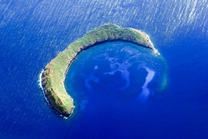 From Ma'alaea: Molokini & Turtle Town Snorkeling Tour