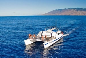 Etelä-Maui: Maui: Molokini & Turtle Town Snorkeling Tour aterian kanssa