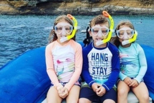 Maui: Snorklingstur till Molokini-kratern och Turtle Town - 3 timmar