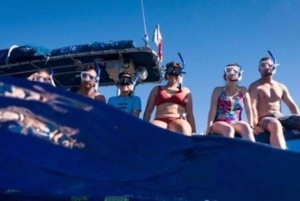 Maui: Snorklingstur till Molokini-kratern och Turtle Town - 3 timmar