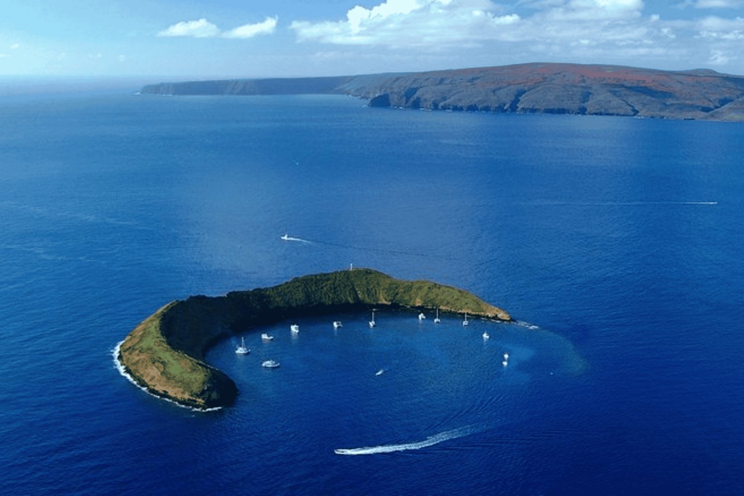 Maui : Molokini Express Snorkeling Tour - 2 heures