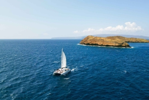 Maui: Molokini Schnorcheln und Leistungssegeln mit Mittagessen