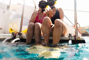 Maui: Molokini Schnorcheln und Leistungssegeln mit Mittagessen