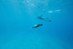 Maui: Molokini Schnorcheln und Leistungssegeln mit Mittagessen