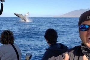 Maui: Molokini Snorkel and Whale Watching Tour - 2.5 hours