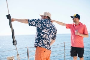 Maui: navegue de manhã com as baleias no porto de Lahaina