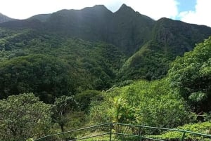 Maui: North Shore and Hana Highway Tour with Breakfast