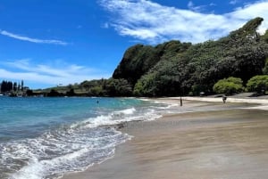 Maui: North Shore and Hana Highway Tour with Breakfast