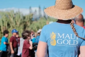 Maui: Pineapple Planting Experience