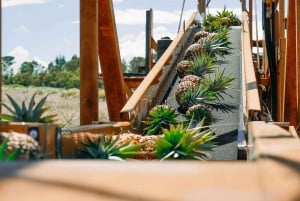 Maui Pineapple Tour: Farm and Feast Experience