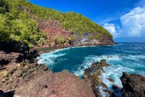 Maui: Yksityinen All-Inclusive Road to Hana Tour pickupilla: Yksityinen All-Inclusive Road to Hana Tour pickupilla