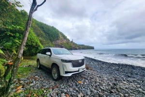 Maui : Circuit privé tout compris sur la route de Hana avec prise en charge
