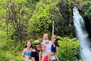 Maui: Prywatna wycieczka all-inclusive Road to Hana z odbiorem