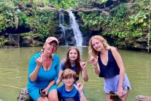 Maui: Privat all-inclusive vei til Hana-tur med henting