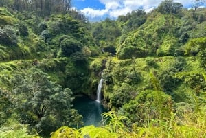 Maui: Excursão Rodoviária Privada com Tudo Incluído para Hana com Captura