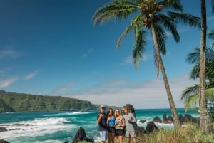 Maui: Yksityinen All-Inclusive Road to Hana Tour pickupilla: Yksityinen All-Inclusive Road to Hana Tour pickupilla