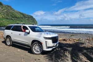 Maui: Excursión Privada Todo Incluido Camino a Hana con Recogida