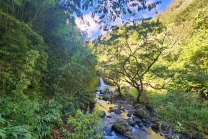 Maui: Excursión Privada Todo Incluido Camino a Hana con Recogida